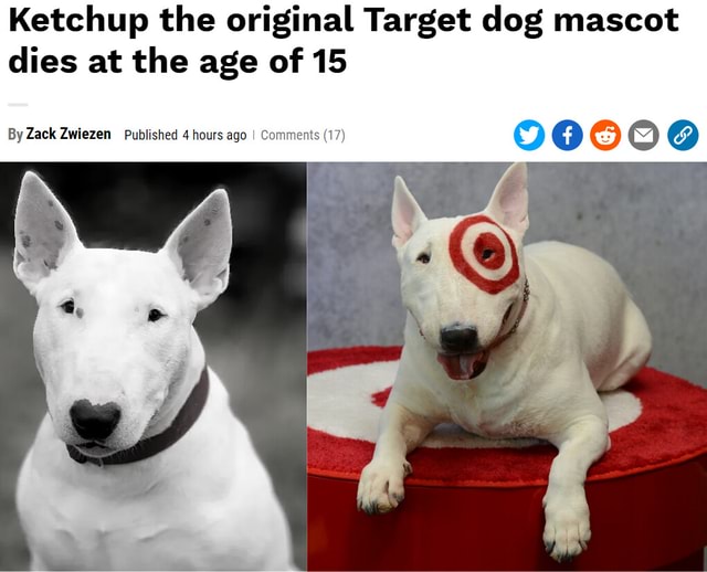 Ketchup the original Target dog mascot dies at the age of 15 By Zack