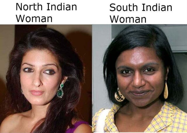 North Indian South Indian Woman Woman - iFunny