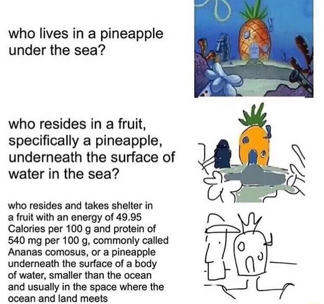 Shark транскрипция. Lives in the sea перевод. If i were a sea. море на английском.