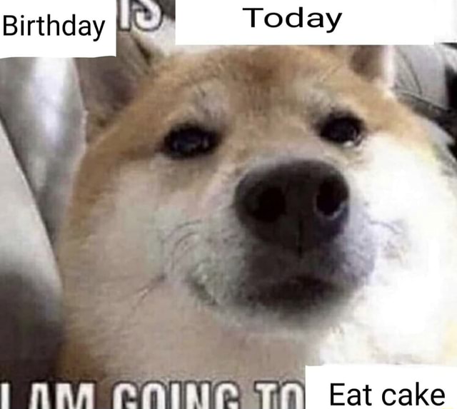 birthday-i-today-eat-cake-ifunny