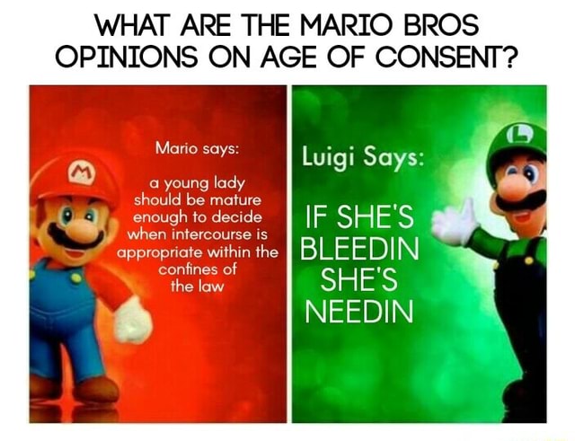 Dark Mario And Luigi Memes What Are The Mario Bros Opinions On Age Of