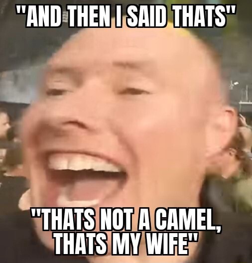 And Then I Said Thats Tarts A Camel Wife Wife Ifunny