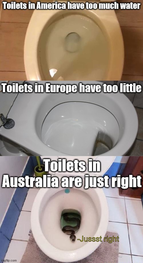 Green and goldilocks Toilets in America have too much water Toilets