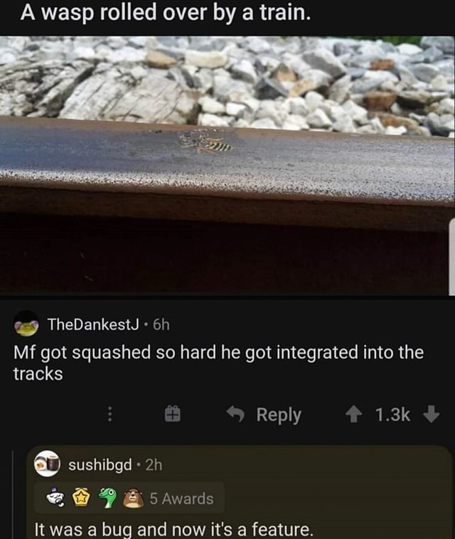 A wasp rolled over by a train. Mf got squashed so hard he got ...