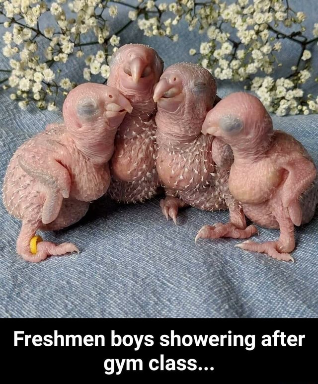 Freshmen boys showering after gym class... Freshmen boys showering