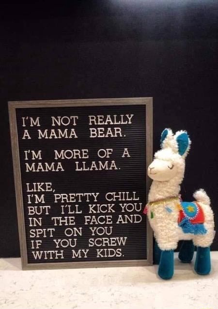 I'm not a mama bear i'm more of a grandma llama like i'm pretty chill but i'll kick you in the