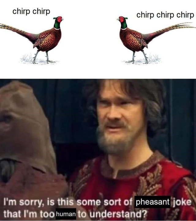 I'm sorry, is this some sort of pheasant joke that I'm lochuman to ...