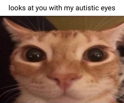 Looks at you with my autistic eyes - iFunny