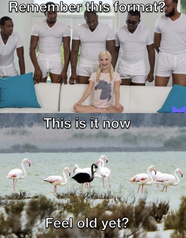 Remember this format? This is it now - & Feel old yet? - iFunny
