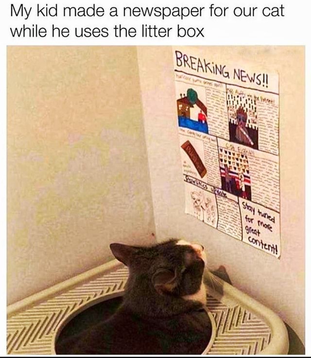 My kid made a newspaper for our cat while he uses the litter box Me )