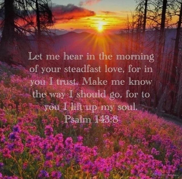 Let me hear in the morning of your steadfast love, for in you trust ...