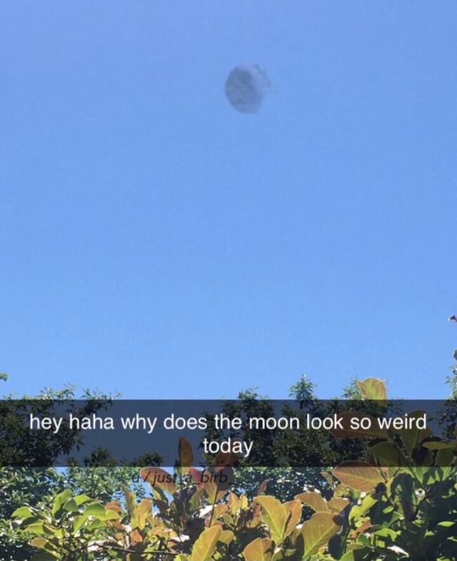 hey-haha-why-does-the-moon-look-so-weird-today-ifunny