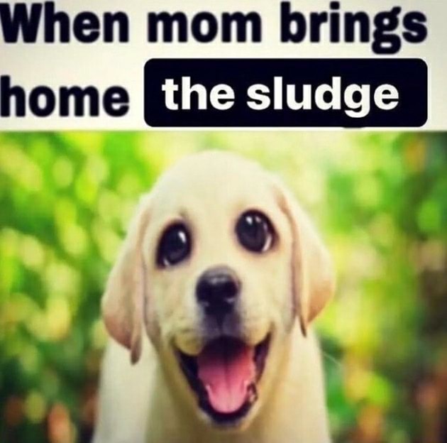 When Mom Brings Home The Sludge Ifunny