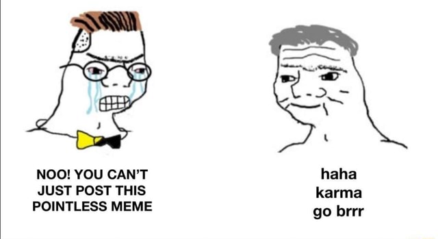 Post Less Meme NOO! YOU CAN'T JUST POST THIS POINTLESS MEME haha karma go brrr - iFunny