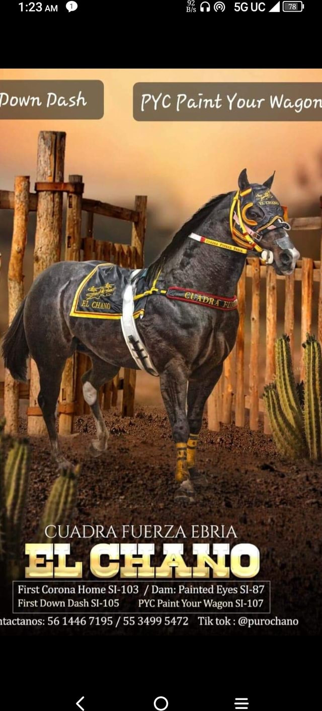 As6o SGUC Down Dash PYC Paint Your Wagon CUADRA FUERZA EBRIA uL First Corona Home SI103 / Dam