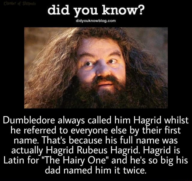 Did You Know? Dumbledore Always Called Him Id Whilst He Referred To ...