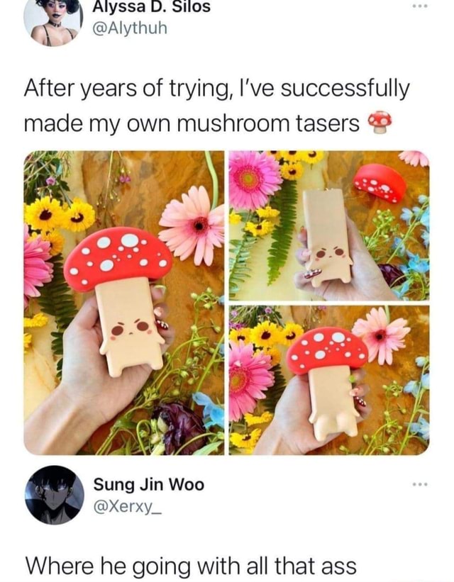 Alyssa D. silos After years of trying, I've successfully made my own