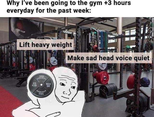 Y been going to the gym +3 everyday for the past week: - iFunny