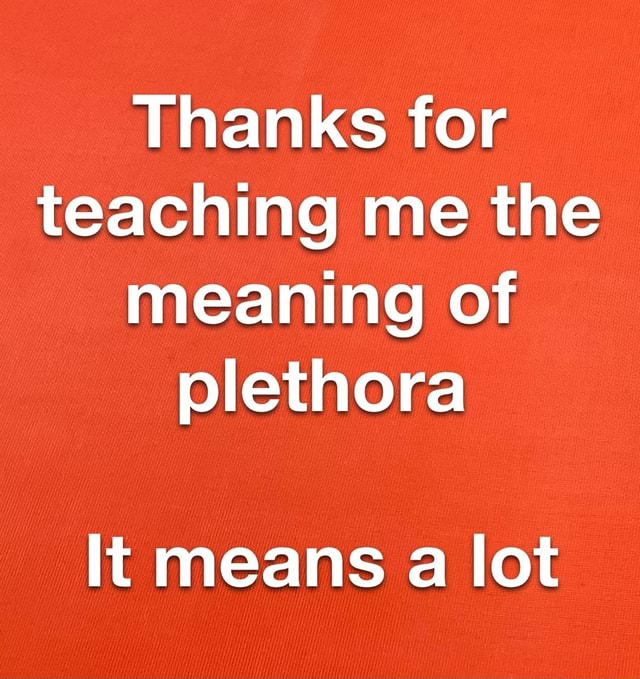 thanks-for-teaching-me-the-meaning-of-plethora-it-means-a-lot-ifunny