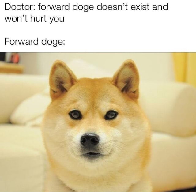 Doctor: forward doge doesn’t exist and won’t hurt you Forward doge ...