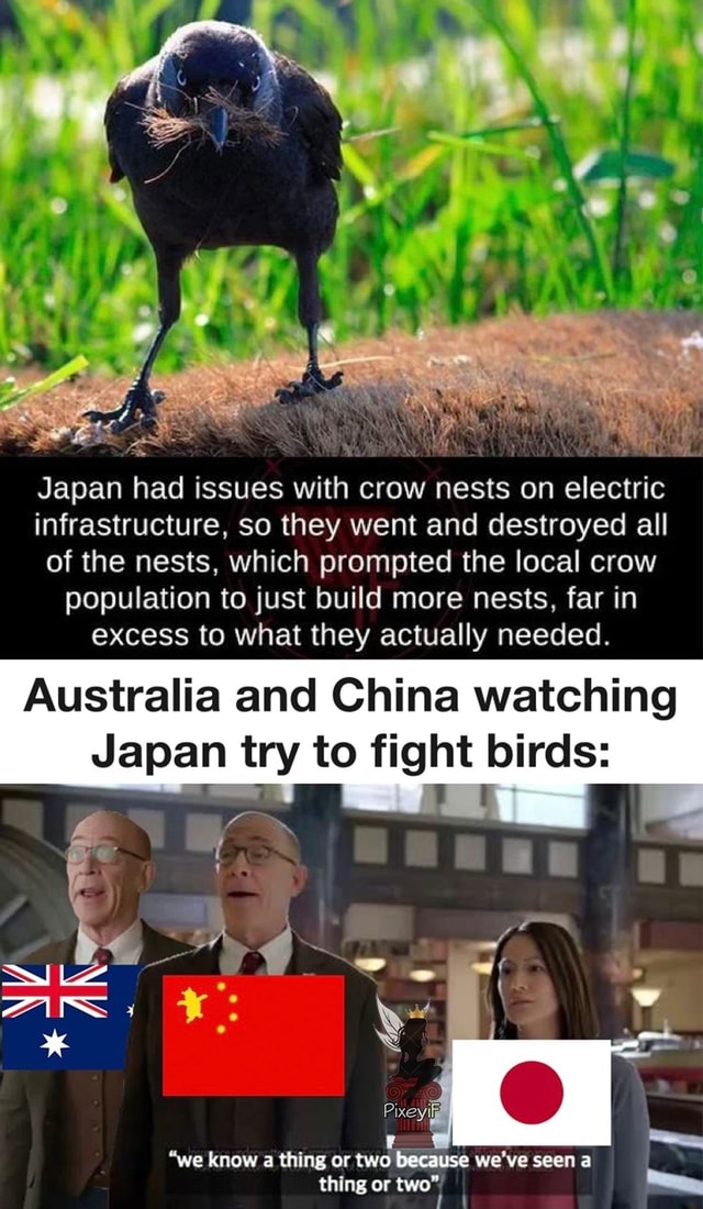 Japan had issues with crow nests on electric infrastructure, so they