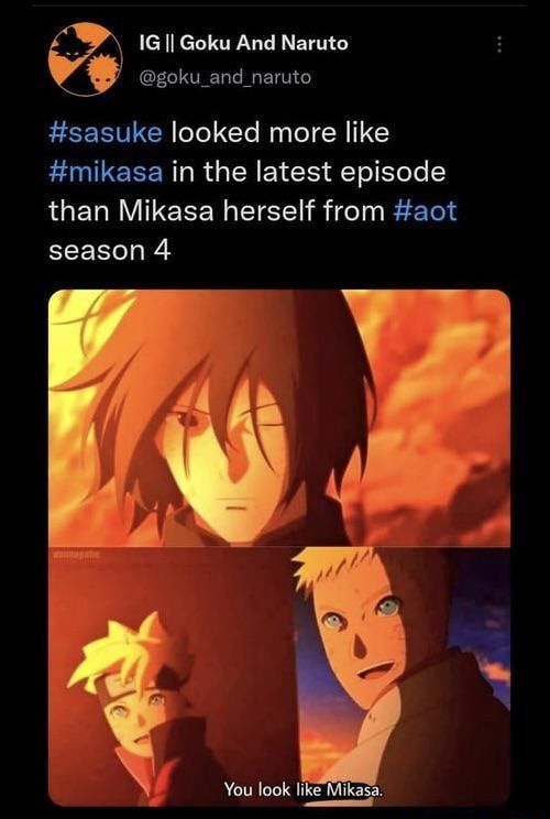 Naruto X Mikasa