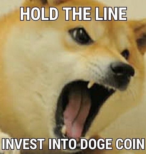 Hold The Line Invest Into Doge Coin Ifunny