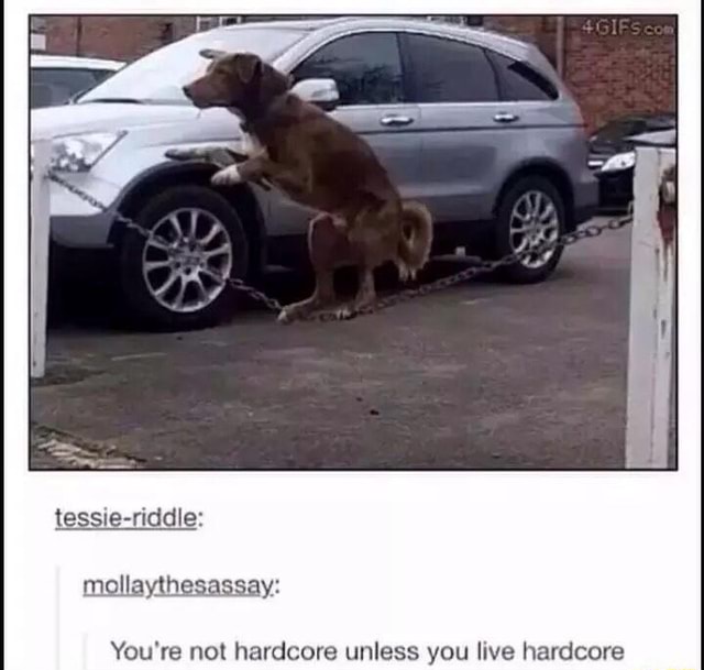 you re not hardcore
