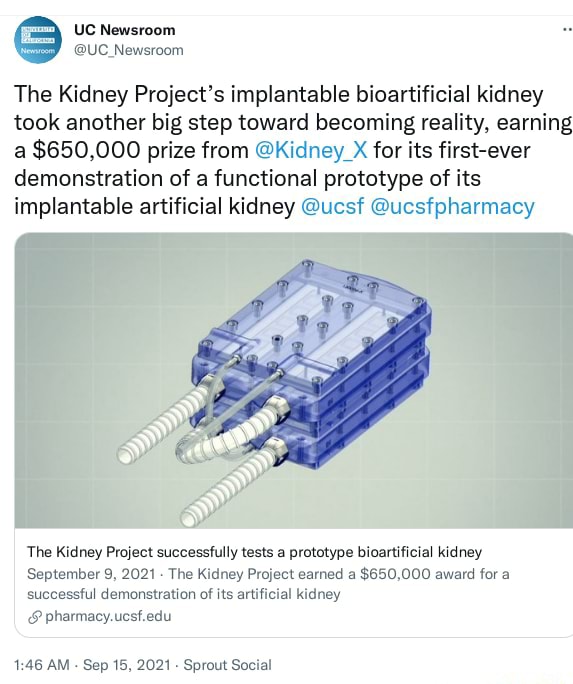 new research on artificial kidney