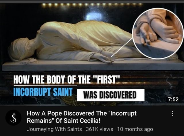 HOW THE BODY OF THE 
