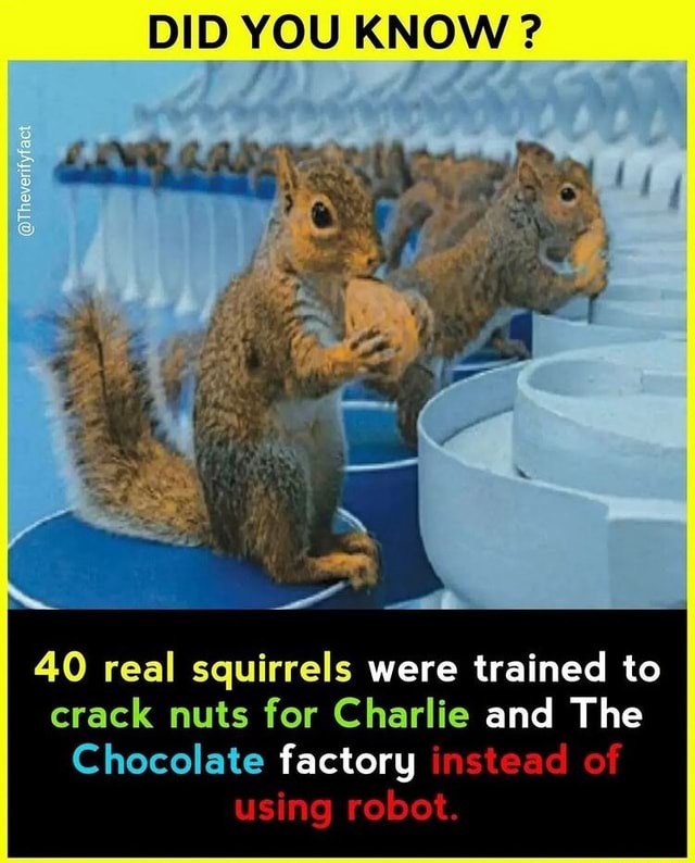 DID YOU KNOW ? 40 real squirrels were trained to crack nuts for Charlie