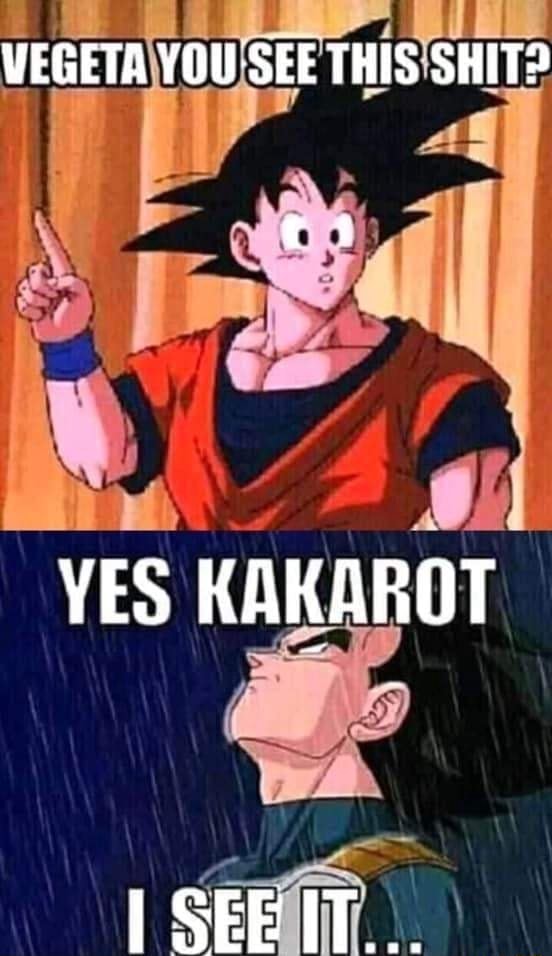 VEGETA YOU-SEE THIS SHIT? YES KAKAROT SEE IT... - iFunny