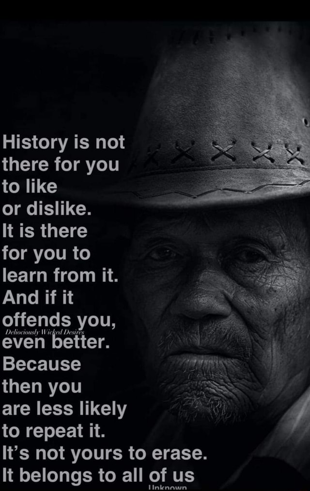 History Is Not There For You To Like Or Dislike It Is There For You To Learn From It And If It 