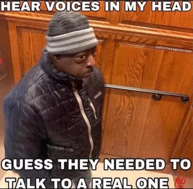 HEAR VOICES IN MY HEAD GUESS THEY NEEDED TO TALK TO A REAL ONE - iFunny