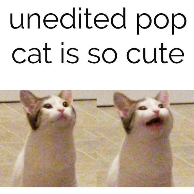 Popcat meaning