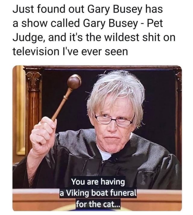 Just Found Out Gary Busey Has Show Called Gary Busey Pet Judge And It S The Wildest Shit On Television I Ve Ever Seen You Are Having A Viking Boat Funeral The