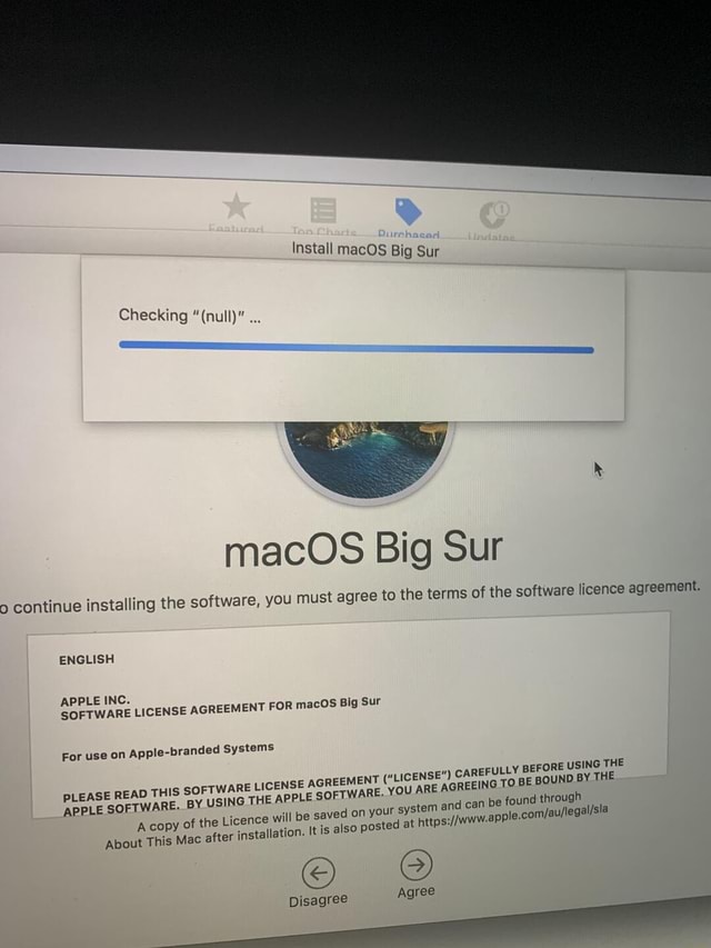Install macOS Big Sur Checking "(null)". macOS Big Sur continue i i ...