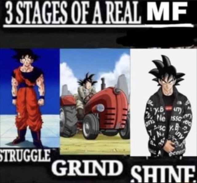 STAGES OF A REAL MIF GRIND - iFunny Brazil