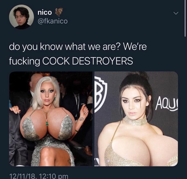 We are cock destroyers