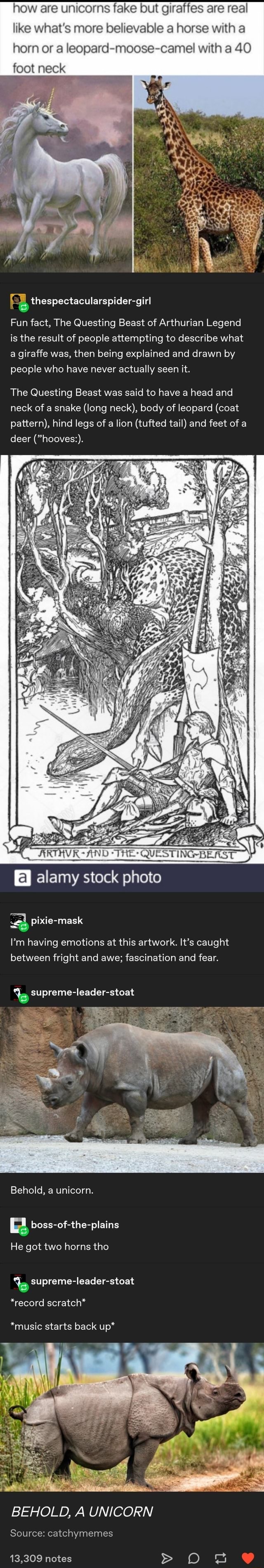 How are unicorns fake but giraffes are real like what's more believable