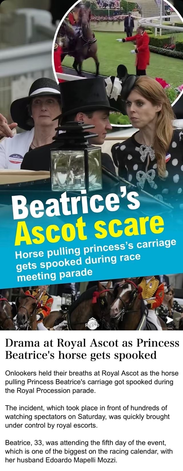 Where is a horse whisperer when you need one? This one might be seeing