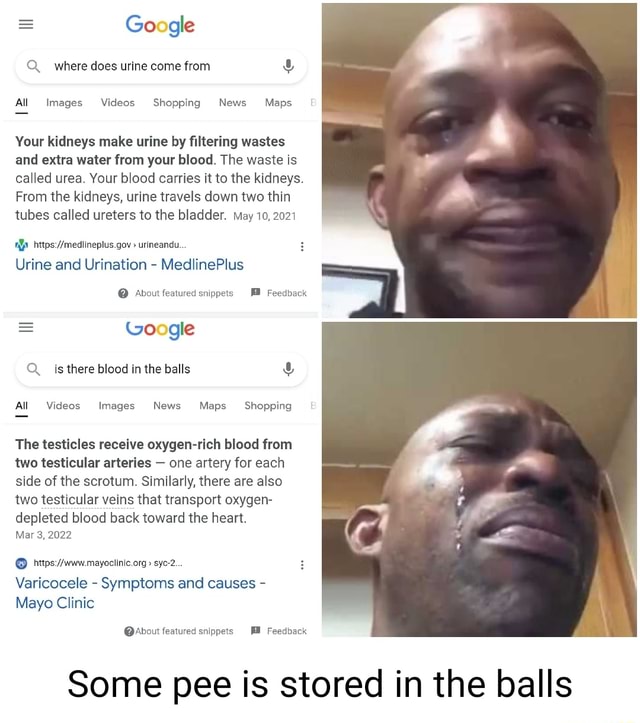 = Google Q where does urine come from All Images Videos Shopping News