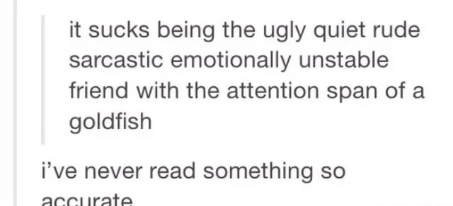 It Sucks Being The Ugly Quiet Rude Sarcastic Emotionally Unstable Friend With The Attention Span 