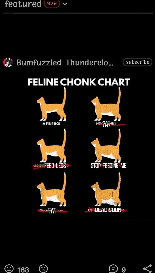 Featured 929) Bumfuzzled_Thunderclo... subscribe FELINE CHONK CHART