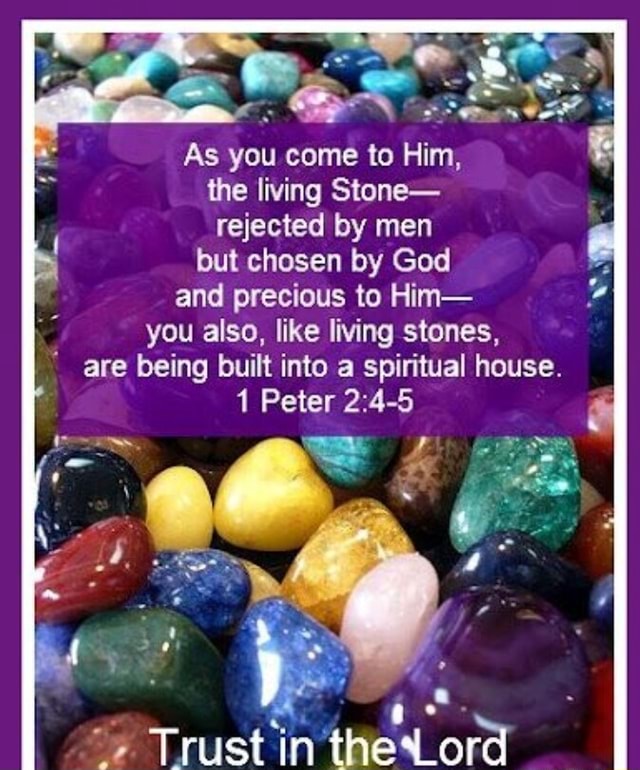 ON As you come to Him, the living Stone- I rejected by men but chosen ...