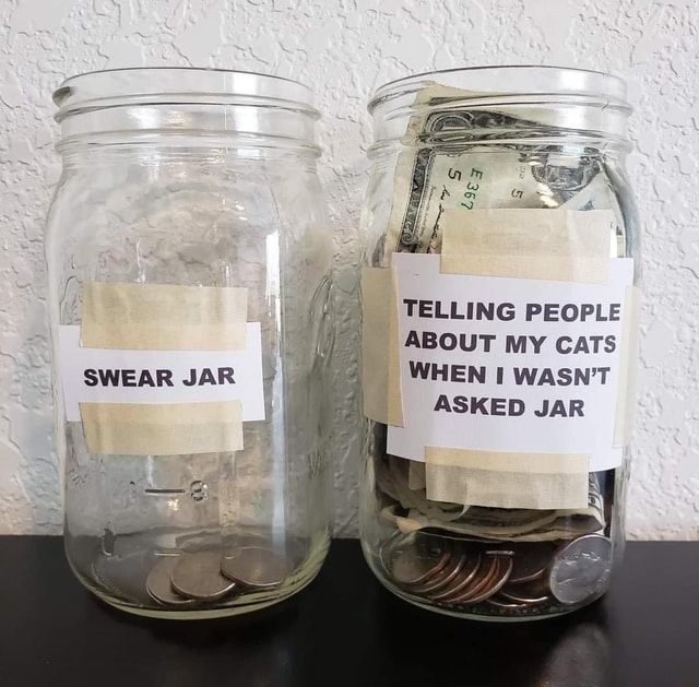 TELLING PEOPLE I ABOUT MY CATS SWEAR JAR II WHEN I WASN'T I ASKED JAR ...