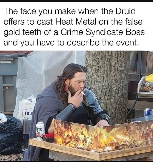 The face you make when the Druid offers to cast Heat Metal on the false ...