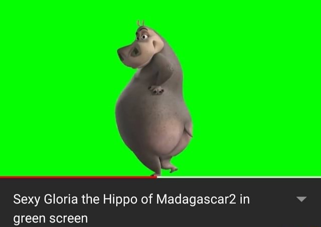 Sexy Gloria The Hippo Of Madagascar2 In Green Screen Ifunny