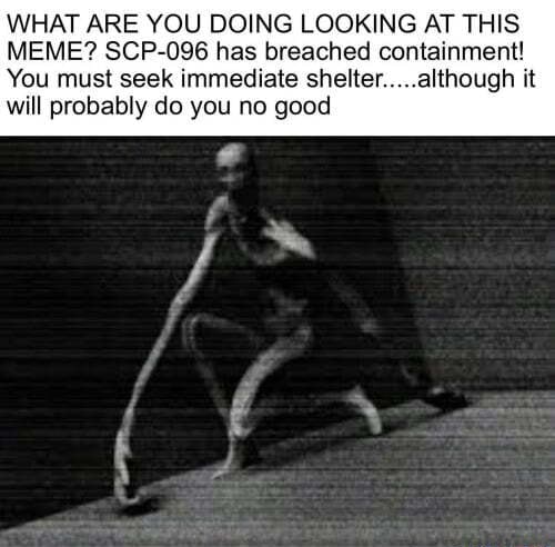 WHAT ARE YOU DOING LOOKING AT THIS MEME? SCP-096 has breached ...