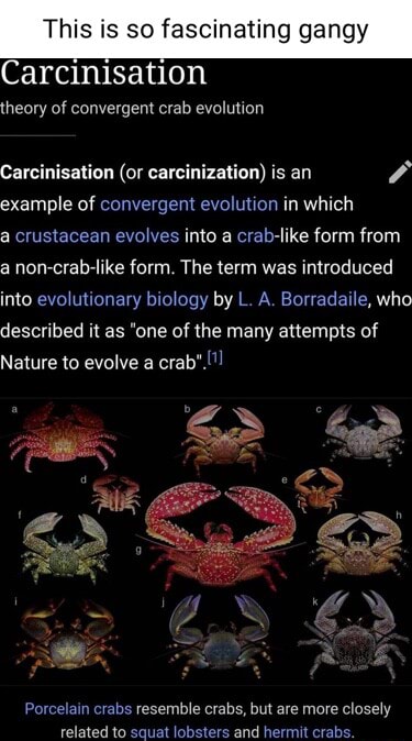 This Is So Fascinating Gangy Carcinisation Theory Of Convergent Crab Evolution Carcinisation Or 